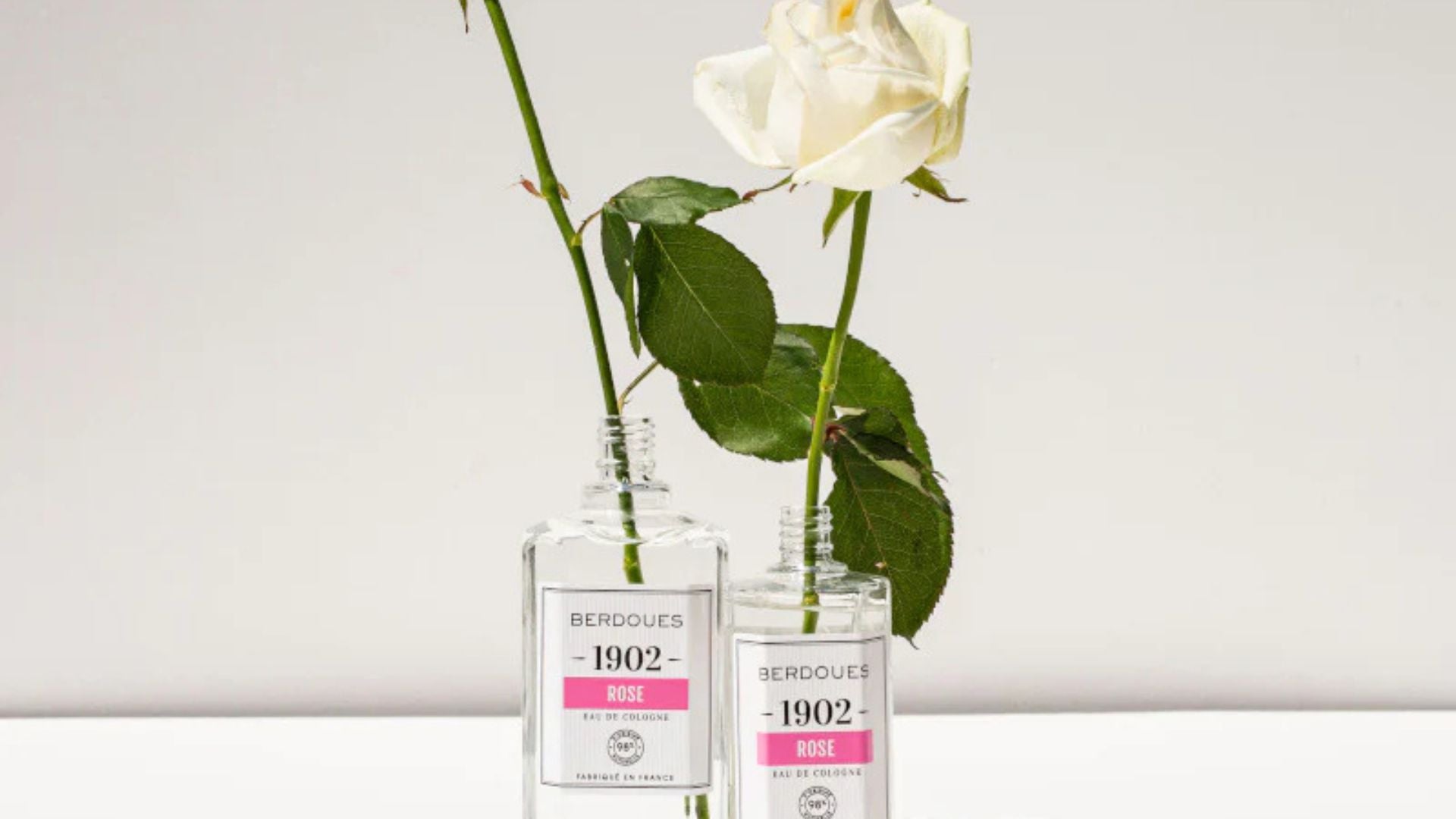 Deux flacons d'eau de Cologne de la collection 1902 Rose de Berdoues, utilisés comme vases avec des roses blanches, symbolisant l'élégance et la tradition olfactive.